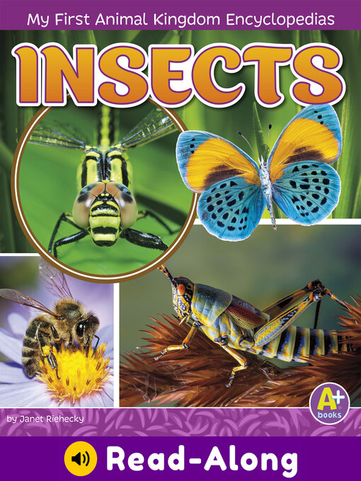 Title details for Insects by Janet Riehecky - Available